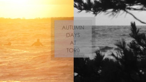 Autumn Days at Torö