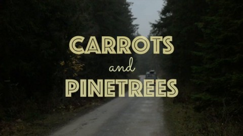 Carrots and Pinetrees