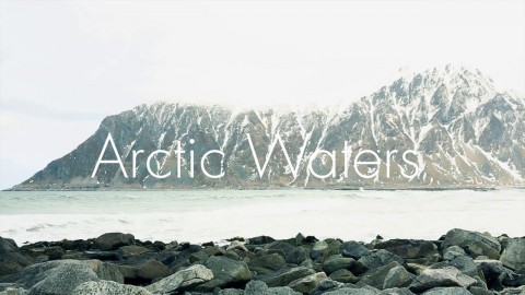 Arctic Waters