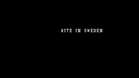 Kite in Sweden