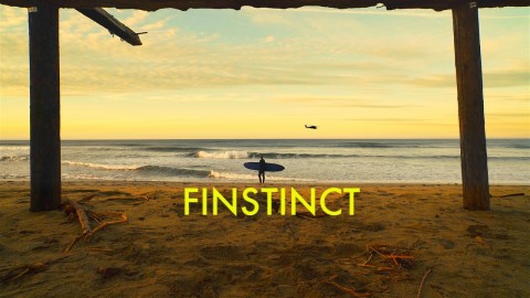Finstinct