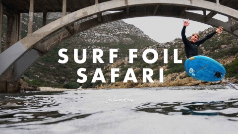 Surf Foil Safari