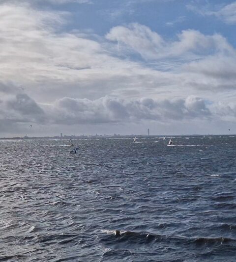 Screenshot_20251009_140040_Gallery