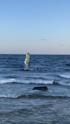 WhatsApp Video 2024-04-10 at 19.23.04