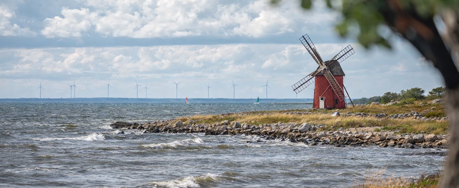 Haga Park Vindsurfare